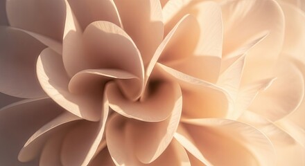 Abstract macro view of a swirling floral form with delicate, translucent petals illuminated by warm, gentle sunlight, creating a serene and elegant aesthetic background