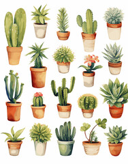 A beautiful collection of watercolor illustrations of cacti and succulents in clay pots. Diverse green houseplants isolated on a white background, suitable for botanical designs, postcards, and decora