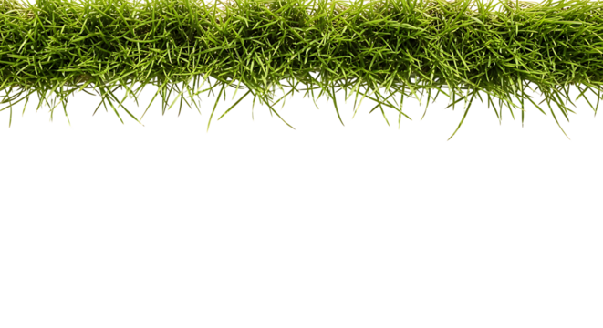 Green grass top border row isolated on transparent background
