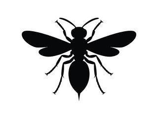 0018_1_silhouette-of-wasp-black-vector-on-white_RbX5UeegRUq6rUJHQMvqkA_1S1D6DX_Rzy6WuvUTwuyJA.eps
