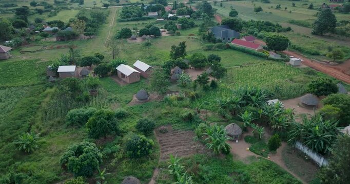 Aerial view of scattered houses amidst lush greenery, with a mix of traditional huts and modern buildings adding character, Kumi, Eastern Region, Uganda.