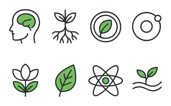 Eco-mind synergy: human brain, plants, and atomic connections in green technology concept