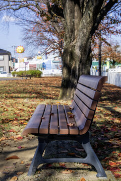 Japanese Park (Sagarimatsu Central Park, Yuki, Ibaraki) - 10