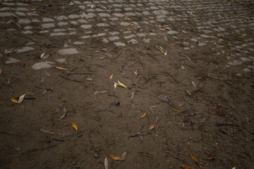 Rough ground surface showing old cobblestones blending into a dirt path scattered with dry autumn leaves and small twigs