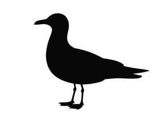 0004_1_silhouette-of-seagull-black-vector-on-wh_HYKn4uHzRgeNZ9Dnx79mrQ_D0smqtAxQtKYKOrTUuEz1Q.eps