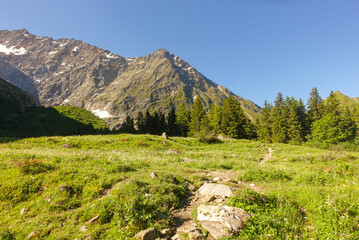 On the Tour du Mont Blanc near Les Houches on a Summer Morning