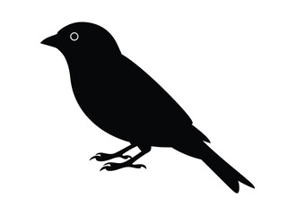 0005_1_silhouette-of-sparrow-black-vector-on-wh_BpozQ7mvQgquN3a1WG-PWQ_FudjqNfaR6ePiX9PndXbxw.eps