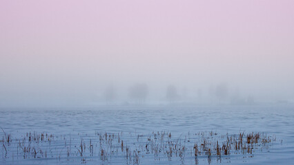 an atmospheric Phenomenon, a dense haze , which greatly reduces horizontal visibility . these Phenomenon occur when light interacts with fine particles in the air , causing light to scatter 