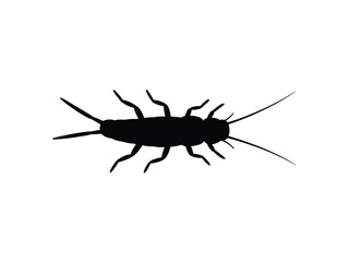 0010_1_silhouette-of-silverfish-black-vector-on_weoQVTWdRC2EX2iLyWKQ_w_G0pCMJFUReSFXBlPiDXphA.eps