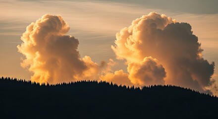 A breathtaking panoramic landscape of massive, golden-lit clouds towering over a dark, silhouetted coniferous forest during a serene and beautiful sunset