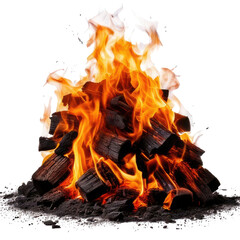 Burning firewood with vibrant orange flames