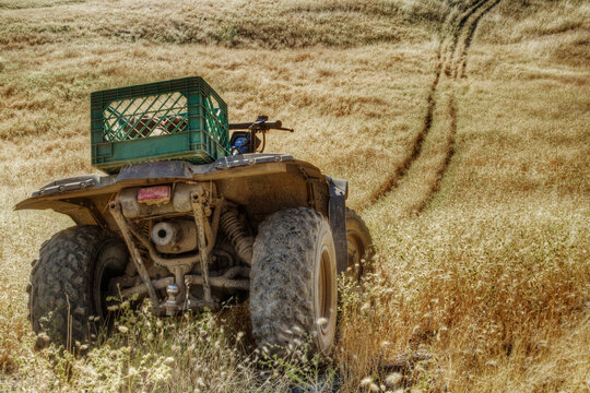 A quad bike or tractor in wheel tracks in a high grass field with rolling terrain, Washington, USA.