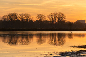 Wschód słońca nad stawem w Goczałkowicach © Elżbieta Kaps