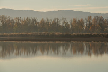Jesienny krajobraz spowity delikatną mgłą o świcie. Miękkie, pastelowe światło poranka podkreśla jesienne barwy i tworzy spokojną, nastrojową scenerię.