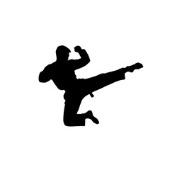 Silhouette of a karate practitioner performing a flying side kick on white