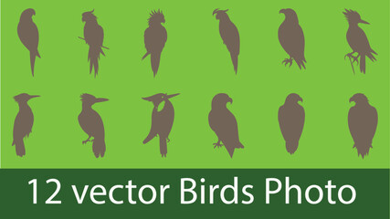 Adobe Illustrator eps file metadata and technical document information overview