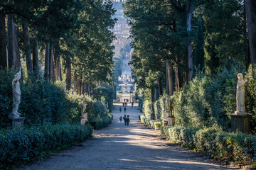 The Boboli Gardens in Florence, a tree lined path with statues and view of the central fountains, people in the background. 