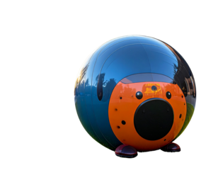 Inflatable Fitness Ball for Dogs in Modern Pet Activity Park