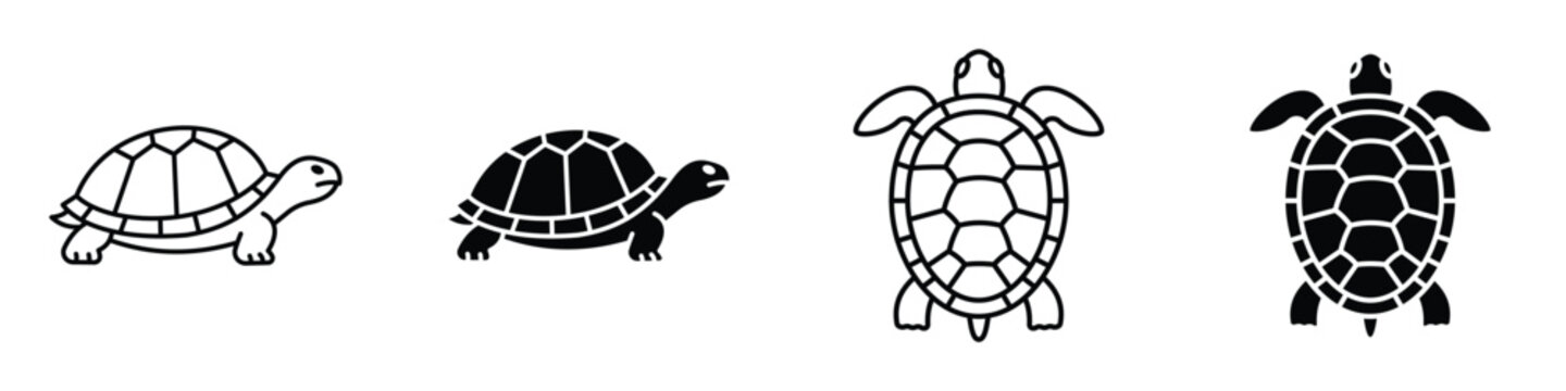 Turtle icon in linear and clipart style pack on white background.