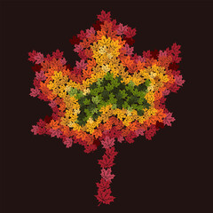 Small layered leaf collage vector illustration with autumn leaves on a black background. Apparel graphic artwork.