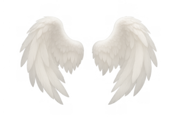Pair of white angel wings floating, symbolizing heaven, freedom, purity, spirituality, and divine protection
