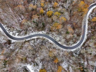 Winding Road Through Snow-Dusted Autumn Forest