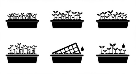 Start your garden with these sprouting seedlings, perfect for urban gardening and sustainable living, grow your own fresh food with these little sprouts