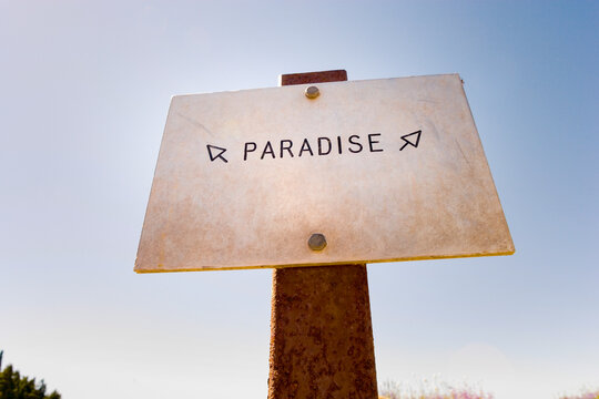 Trail sign leading to Paradise, Mount Rainier National Park, Washington. 