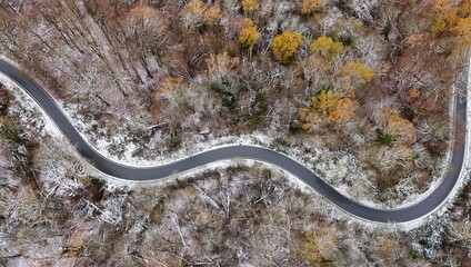 Winding Road Through Snow-Dusted Autumn Forest