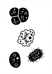 Detailed black and white bacteria and virus cell set for scientific illustration, medical studies, microbiology research, and health education resources
