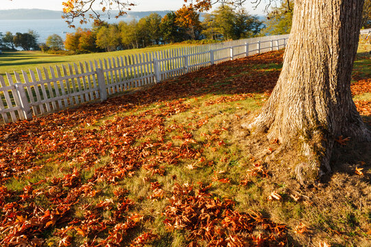Autumn leaves and a white picket fence around a field, Port Gamble.