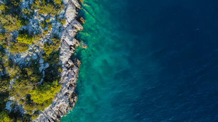 Vibrant, rocky coastline covered in lush green vegetation, transitioning into the crystal-clear water