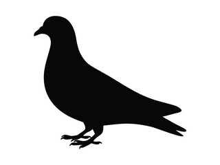 0012_3_silhouette-of-pigeon-black-vector-on-whi_wt4WeYXdQyitTqsdFKxVIA_2nLpYyjHR7-in5BRa_z9hw.eps