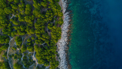 Breathtaking aerial perspective reveals a vibrant contrast where a lush emerald forest meets rocky shore