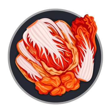 A detailed overhead vector illustration of traditional Korean kimchi highlighting the textures of spicy fermented napa cabbage leaves coated in vibrant red seasoning on a simple dark grey plate