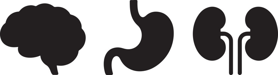 Three black silhouette icons of human organs on a white background Keywords: human organs, anatomy