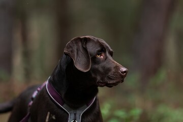 Tradi&Auml;n&Atilde;&shy; bu&Aring;&trade;ry vol.10