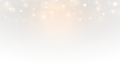 Festive Glow with Shiny Stardust and Sparkle Overlay