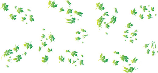 Vector art of green maple leaves scattered on a isolated on