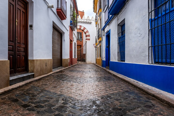 Old typical narrow street in Cordoba with old buildings with white walls decorated with colorful flower pots