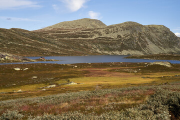  "Quaint Wooden Cabins Amidst the Highland Lake Scenery Near Gaustatoppen, Norway's Breathtaking Peak"