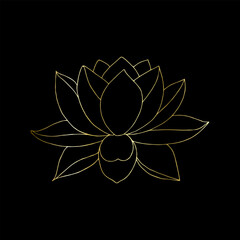 Gold contour of lotus flower hand drawn doodle vector isolated element for premium design. Golden gradient line.