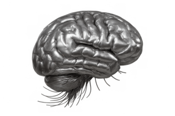 Human brain made of metal with shining chrome surface representing artificial intelligence and advanced technology