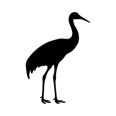 Sandhill crane silhouette.ai