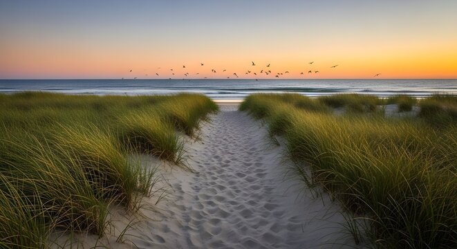 Sandy path to ocean beach through dunes at warm sunset with birds - Powered by Adobe