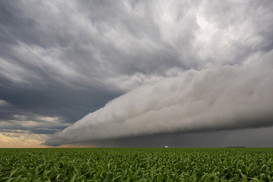 A dramatic horizontal roll cloud, formed when a downdraft pushes cold air ahead of it, and warm air rises and cools, so condensation occurs.