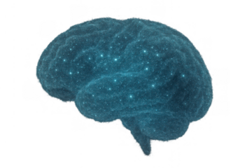 Artificial intelligence brain showing glowing neurons and neural activity, symbolizing data processing and abstract thought on transparent background