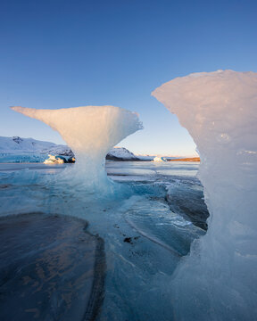 Calved Ice on Jokulsarlon Black Sand Beach, chunks of glacier ice in the lagoon, shaped by the elements. 