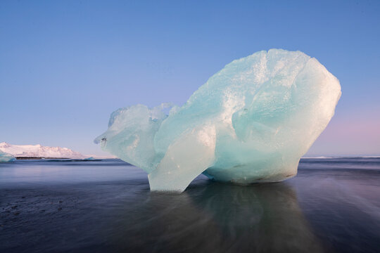 Calved Ice on Jokulsarlon Black Sand Beach, chunks of glacier ice in the lagoon, shaped by the elements. 