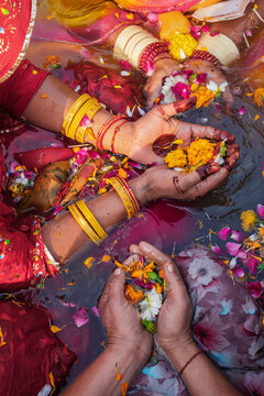 Overhead view of three women wearing bracelets, holding flowers and petals in their henna'ed hands, in water, puja offerings for the gods during the Maha Shivratri Hindu festival.
